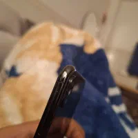 256gigگوشی آیفونxs|موبایل|بندرعباس, |دیوار