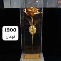 هدیه روز مرد با قیمت مناسب