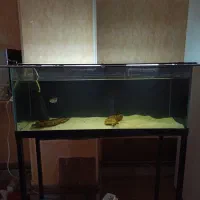 آکواریوم ضد خش apa