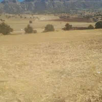 زمین کشاورزی