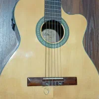 گیتار پیکاپدار