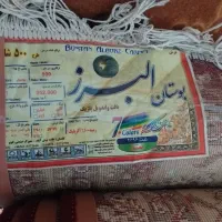 سه تخته فرش سالم در حد نو دوتا۶متری و یکی ۱۲متری|فرش|رشت, منظریه|دیوار
