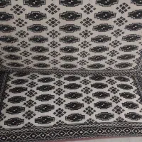 ۶ عدد پشتی  در سهروردی