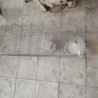 قفس|لوازم جانبی حیوانات|سبزوار, هویزه|دیوار