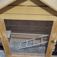 لونه کلبه تمام روس برای طوطی سان و ...