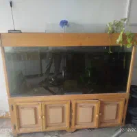 اکواریم بزرگ و زیبا|ماهی|خمین, |دیوار