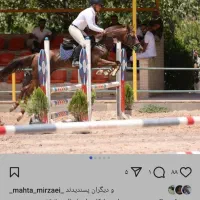اسب پرش