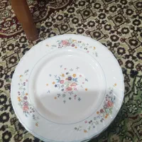 ظرف|ظروف سرو و پذیرایی|زابل, |دیوار