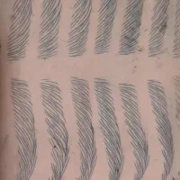 مدل فیبروز برای تکمیل البوم