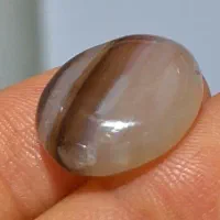 زینتی