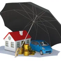 مشاوره و صدور انواع بیمه نامه( نقد و اقساط) تعاون