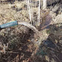 باغ 2000متر فروشی