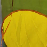 چادر کمپینگ کودک|اسباب‌بازی بچه|شیراز, اصلاح‌نژاد|دیوار