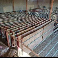 قالیشویی مکانیزه توکل|خدمات نظافت|زاهدان, |دیوار