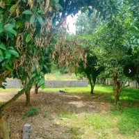 واسه بازدیدش فقط یه تماس کافیه ۸۰۰م سرمایه گذاری
