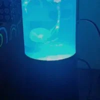 آباژور عروس دریایی