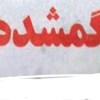 کیف کارتی به همراه چندین کارت