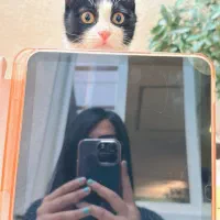 تبلت آیپد ۱۰.۹ اینچ ۲۰۲۲