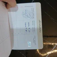 سگ پامرین بلک اندتن اصیل|سگ|کهریزک, |دیوار