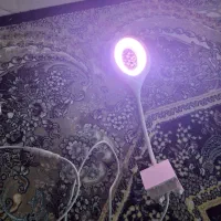 نور اکواریوم و پمپ هوا و تصفیه و فیلتر|لوازم جانبی حیوانات|مشهد, گلبرگ|دیوار