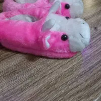 پاپوش کفشی خرگوشی