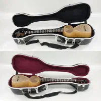 هادی کیس تار آذری باکس جعبه اورجینال ضدی ضربه|سازهای سنتی|تبریز, |دیوار