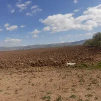 ۵هکتار لب کمربندی ۲کله فروش فوری