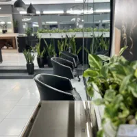اجاره صندل برای تمام خدمات رنگ ولایت کراتین فیبروز|خدمات آرایشگری و زیبایی|تهران, صادقیه|دیوار