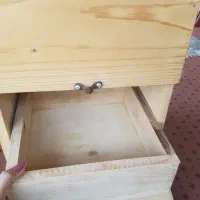 لونه طوطی راهب|لوازم جانبی حیوانات|رشت, حومه رشت|دیوار