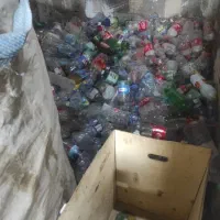 مرکز خرید کارتون و پت|خدمات پیشه و مهارت|کبودرآهنگ, |دیوار