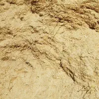 کاه کمباینی|عمده‌فروشی|مشهد, انقلاب|دیوار