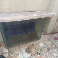 اکفاریوم سالم