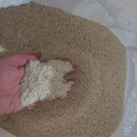 برنج درجه یک هاشمی شاهانه|خوردنی و آشامیدنی|کارون, |دیوار