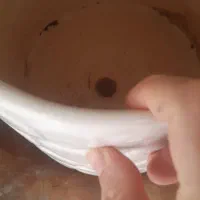 گلدان نو|گل و گیاه طبیعی|تهران, اسفندیاری|دیوار