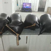 هیزه کاملا نو تازه درست شده