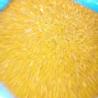 بذ بونجه