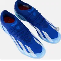 کفش|کیف، کفش، کمربند|برخوار, |دیوار