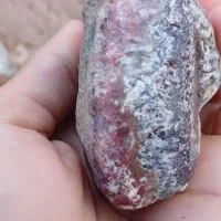 شجر|جواهرات|رفسنجان, |دیوار