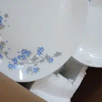 سرویس ارکوپال فرانسه