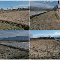 2400مترزمین زراعی/مناسب باغ کیوی/چسبیده با بافت