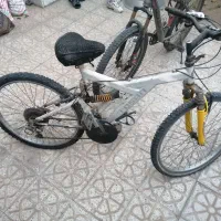 دو عدد دوچرخه