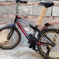 دوچرخه 20