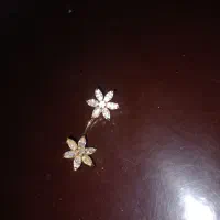 انواع بدلیجات زیبا