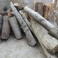 خرید چوب های خشک و تر وهرس باغ و چوب های اجیلی