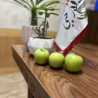 سرسبزترین یاغ با نهالهای میاندوآب نهال رجبی