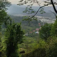 1600متر-زمین-مسکونی