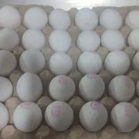 تخم‌مرغ‌‌30عددی390هزار‌تومان