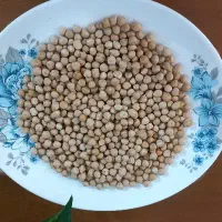 فروش ۲۰کیلو نخود ریز کیلو ۱۷۰  به شرط