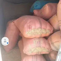 کاه گندم حدودان ۴۰ تن|عمدهفروشی|کبودرآهنگ, |دیوار