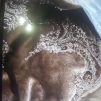 روتختی سالم سالم|سرویس روتختی|یزد, |دیوار